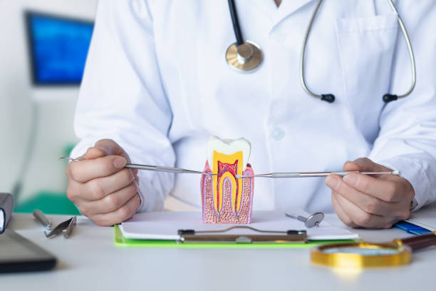 Best Emergency Denture Repair in Smith Mills, MA